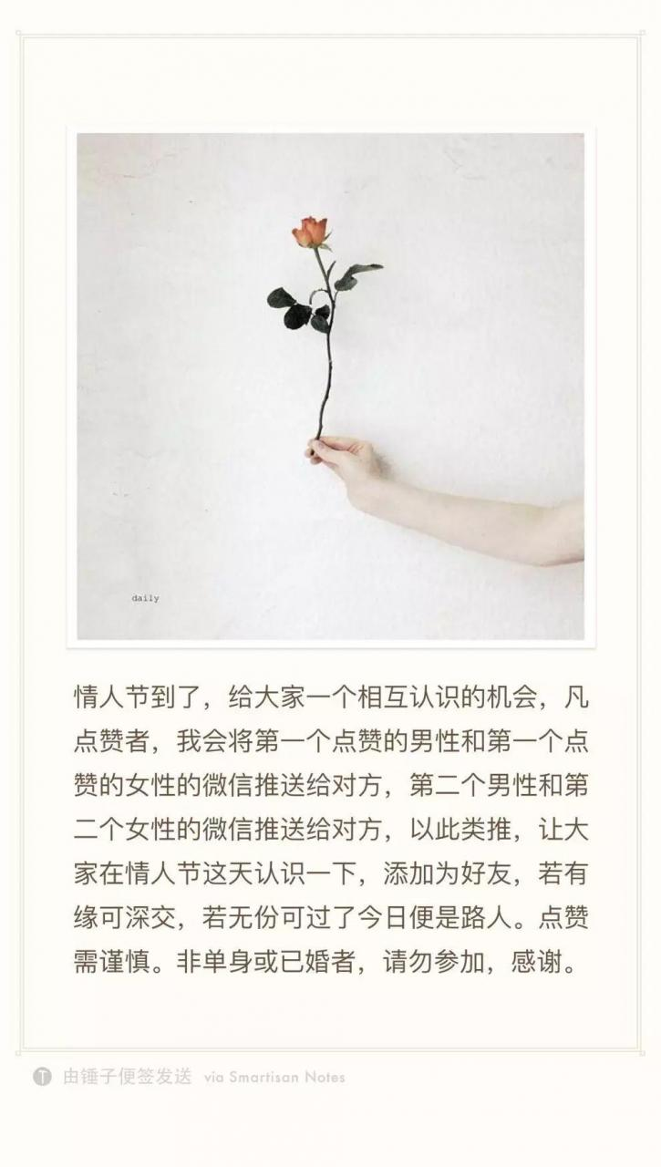 总结：情人节朋友圈活动